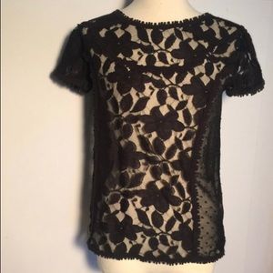 Short sleeve lace blouse